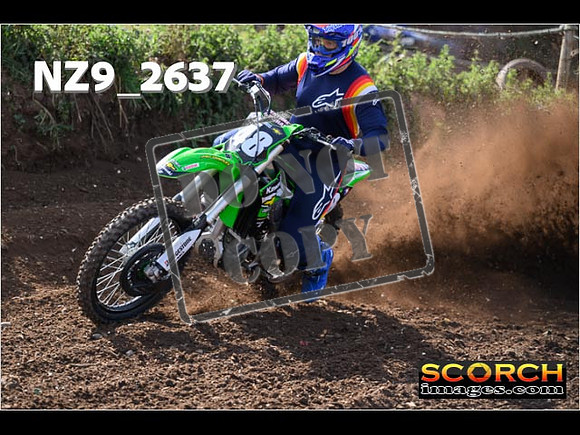 IntersGreenOrange-037