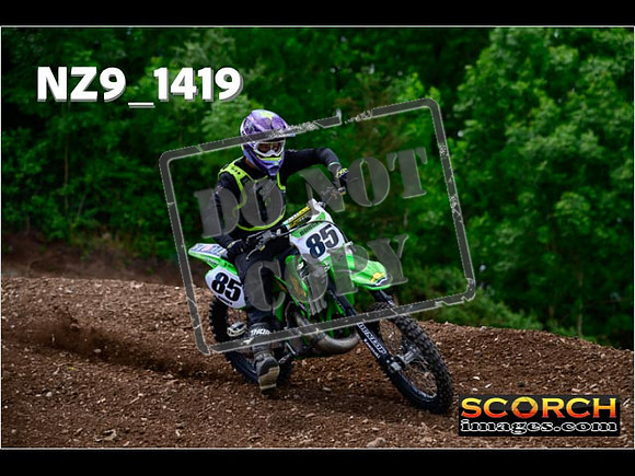 IntersGreen-130