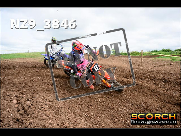 Experts-118