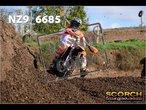 Experts-081