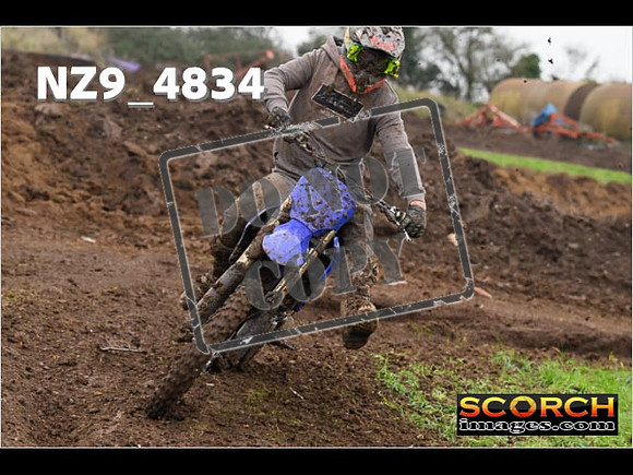 Experts-310