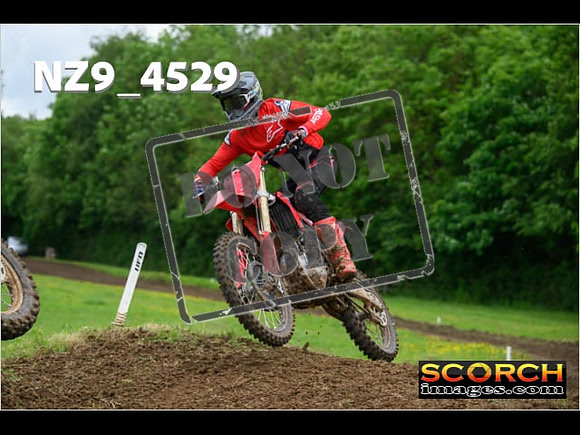 Experts-246