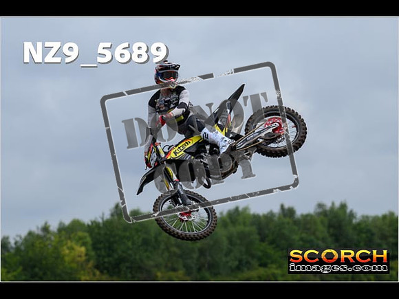 Experts-091