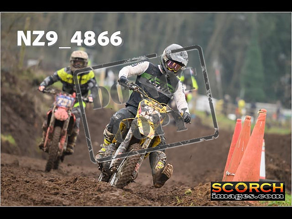 Experts-341