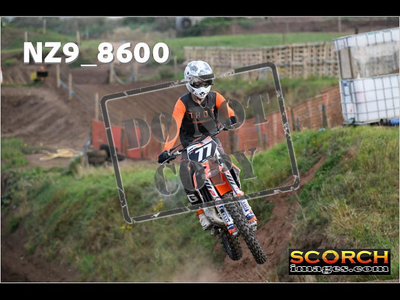 Experts-010