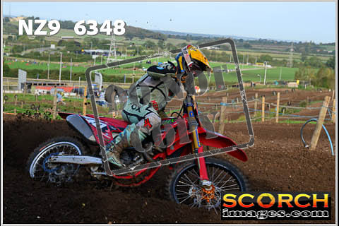 Experts-041