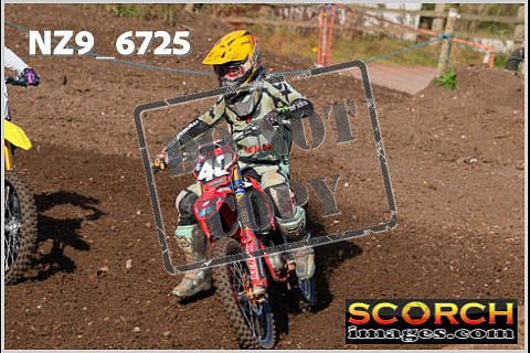 Experts-099