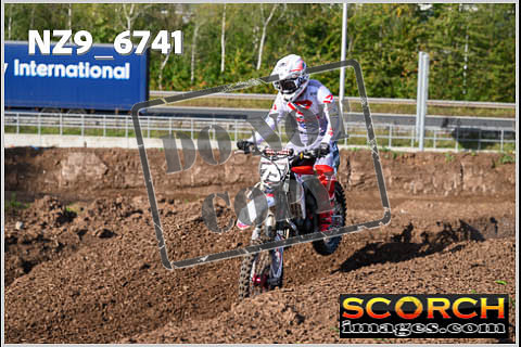 Experts-113