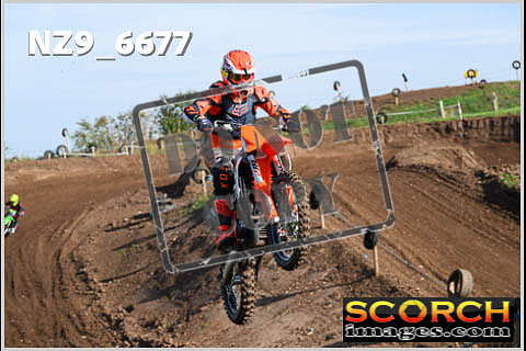 Inters Green-120