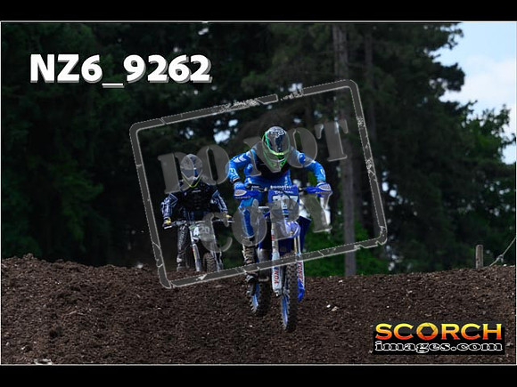 IntersGreen-118