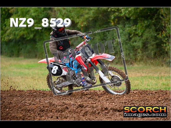 Experts-075