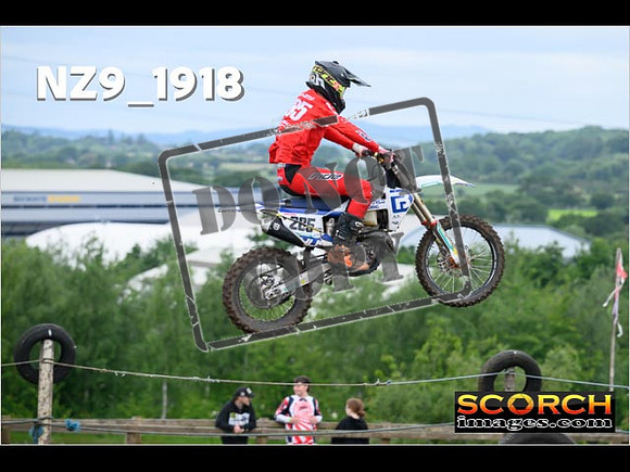 Experts-137