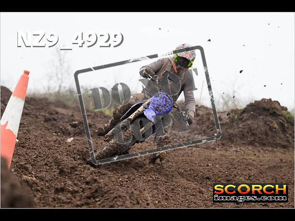Experts-399