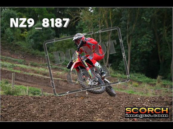 Experts-124