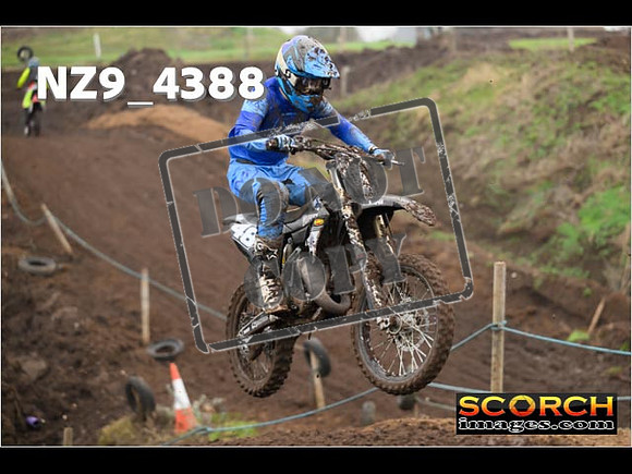 Experts-234