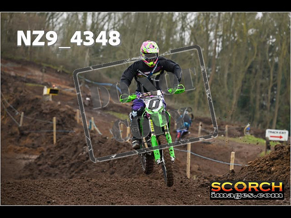 Experts-195