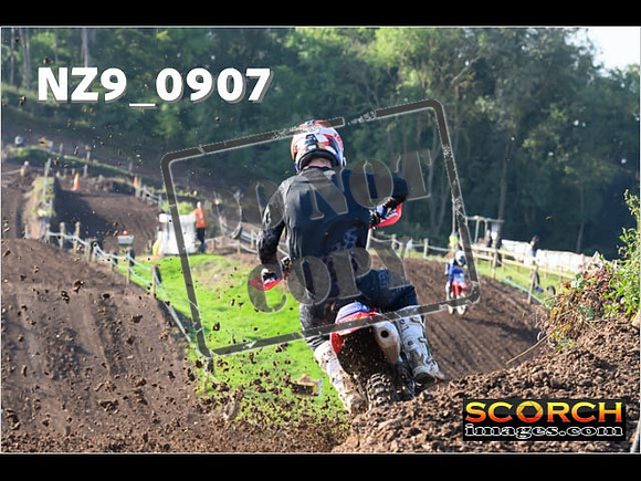 Experts-117