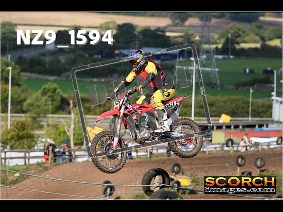 Experts-276