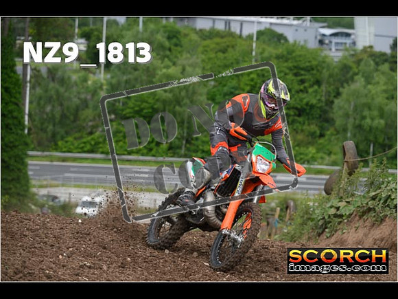 Experts-036