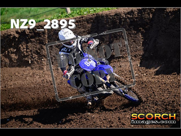 Experts-067