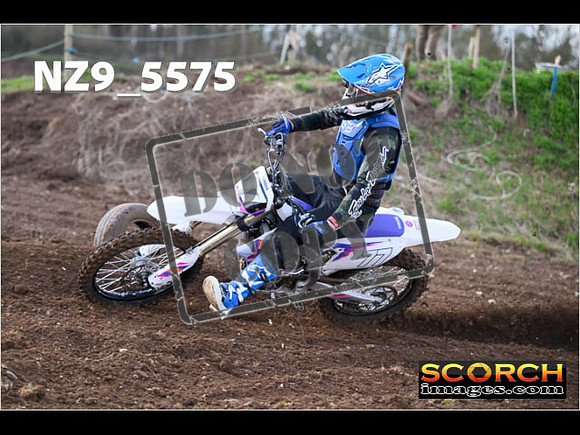 Experts-083