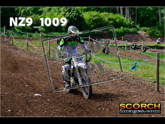 IntersGreen-073