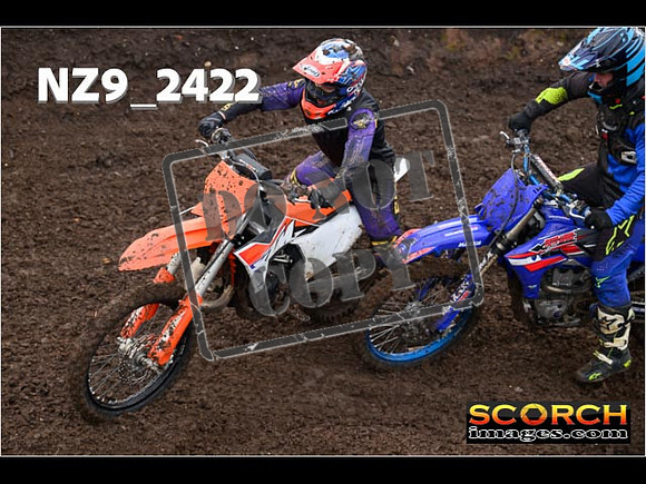 IntersGreenOrange-134