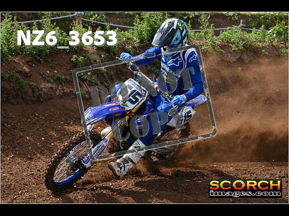 Experts-079