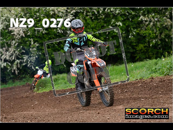 IntersGreen-225