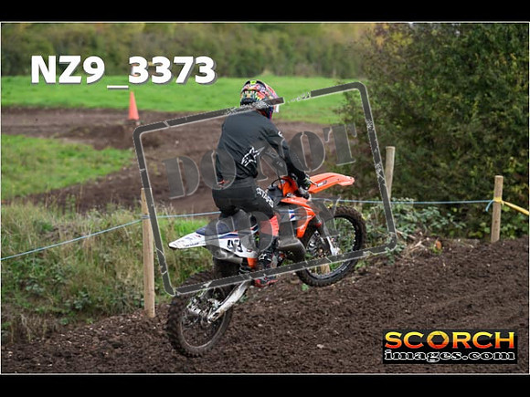 Inters-310