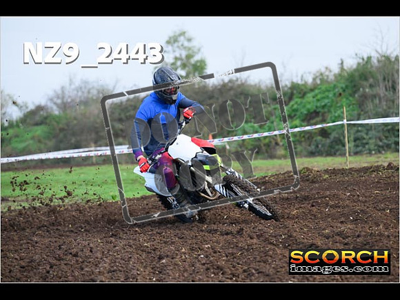 Experts-035