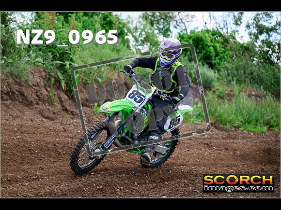 IntersGreen-030