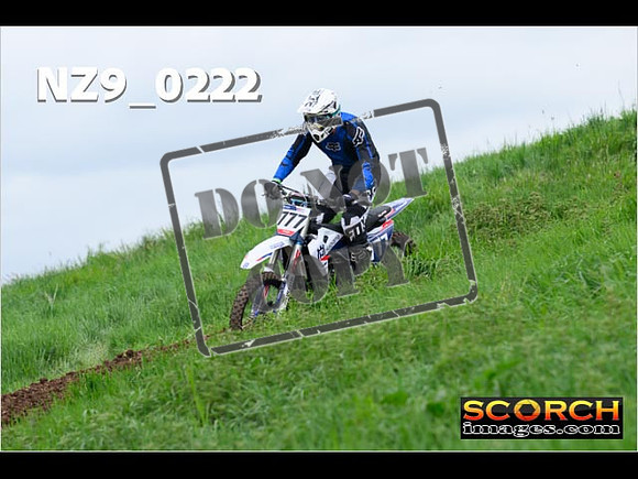 IntersGreen-172