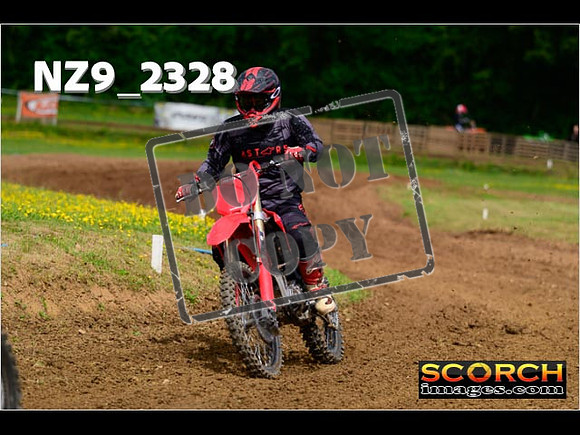 Novice-175