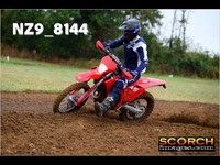 Experts-015