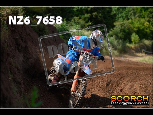 Experts-039