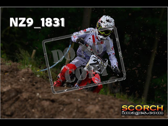 Experts-052