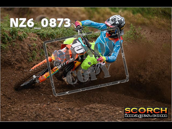 Experts-067