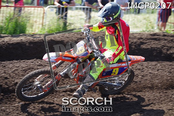 IMGP0207