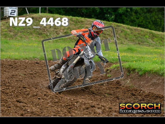 Experts-186