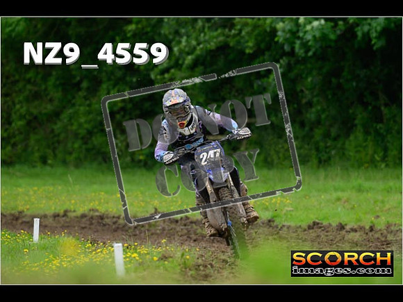 Experts-275