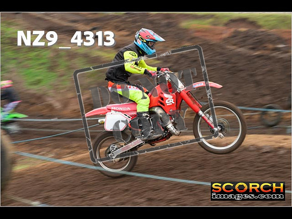 Experts-161