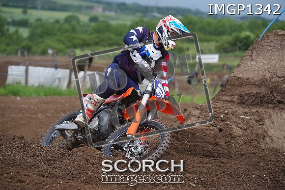IMGP1342