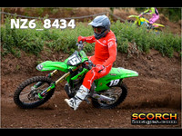 InterGreen-017