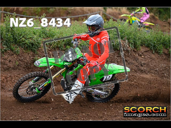 InterGreen-017