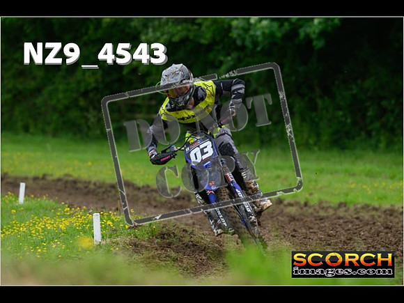Experts-260