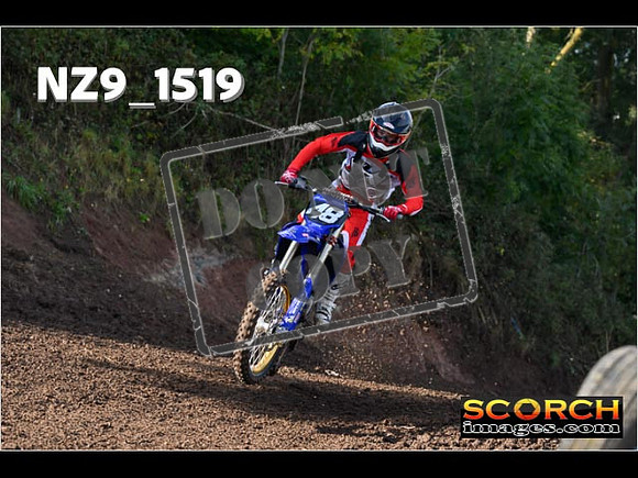 Experts-209