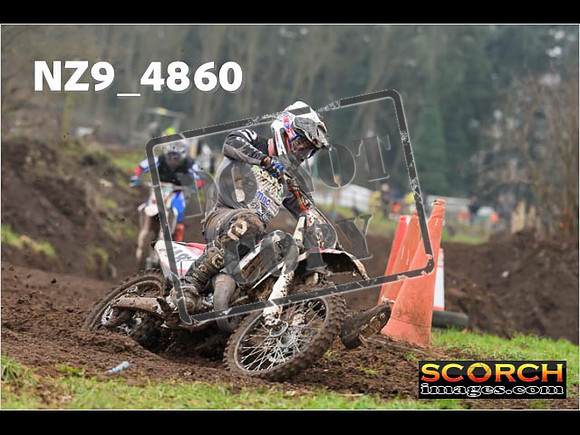 Experts-336