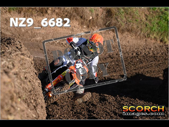 Experts-078