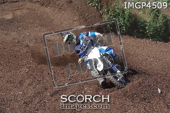 IMGP4509